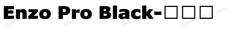 Enzo Pro Black字体转换